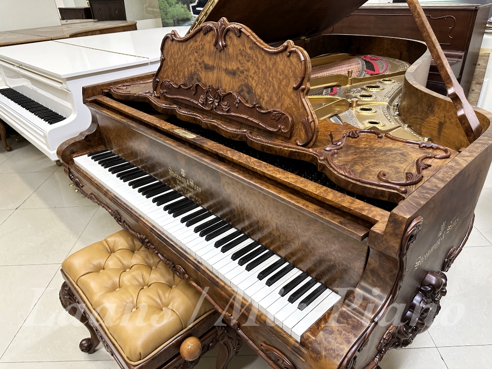 steinway laans mirpiano 9